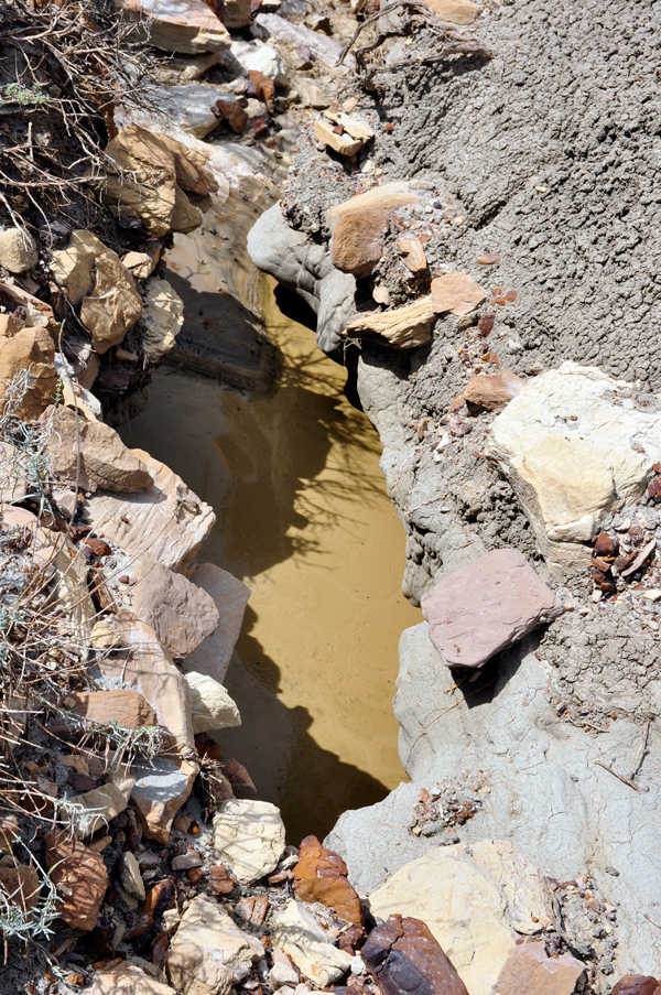 water hole in Makoshika State Park